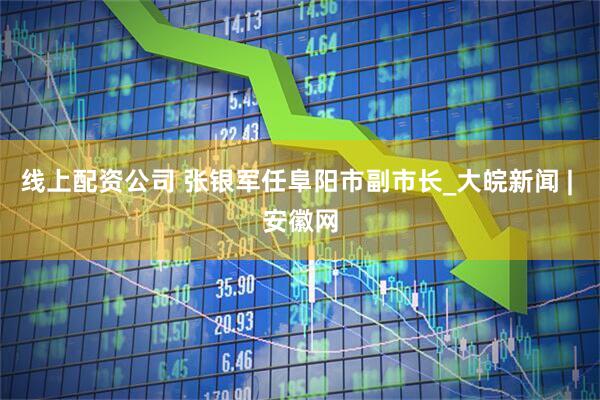 线上配资公司 张银军任阜阳市副市长_大皖新闻 | 安徽网